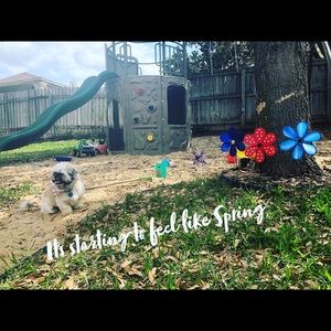 Meet your Posher, Estefania